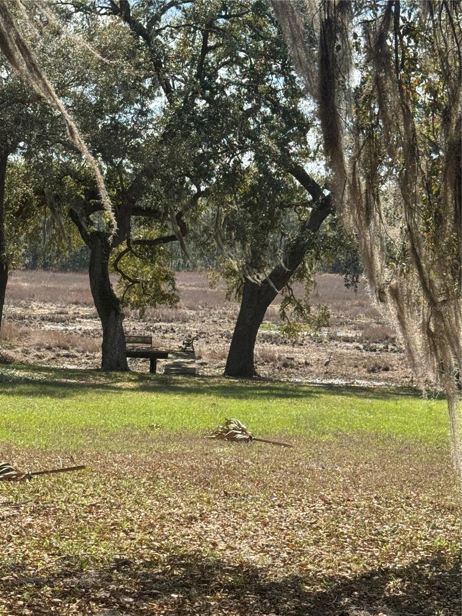 17645 NE 61ST STREET RD, SILVER SPRINGS, FL, 34488