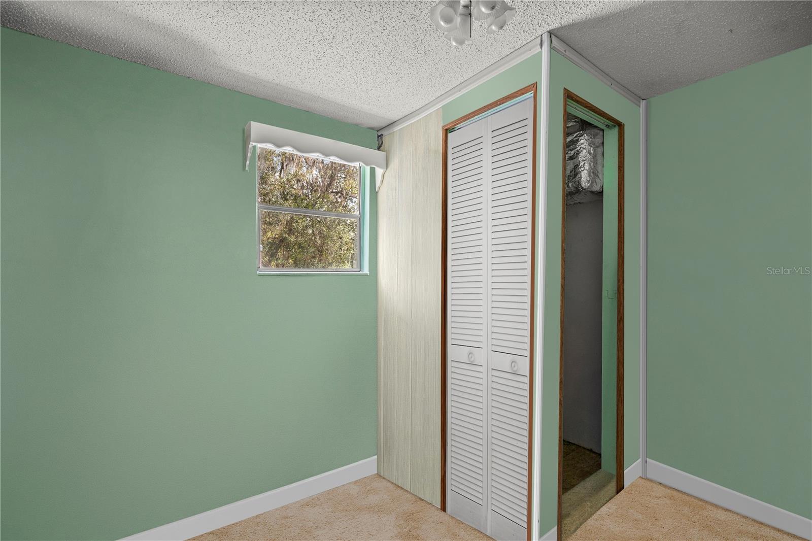 17645 NE 61ST STREET RD, SILVER SPRINGS, FL, 34488