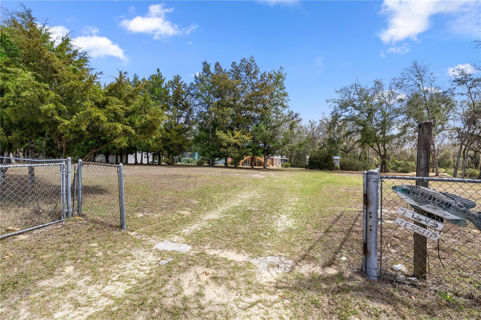 17645 NE 61ST STREET RD, SILVER SPRINGS, FL, 34488