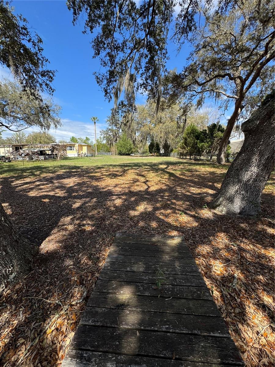 17645 NE 61ST STREET RD, SILVER SPRINGS, FL, 34488