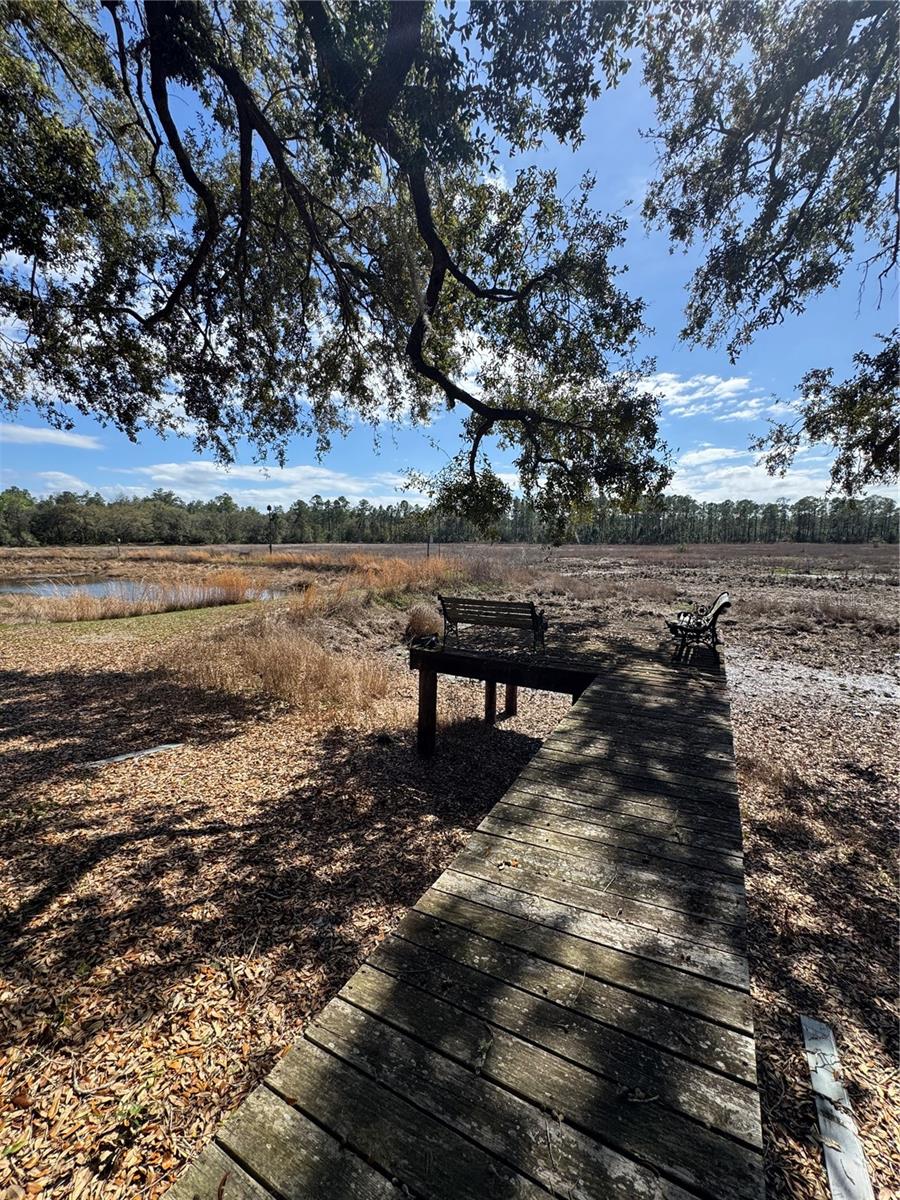 17645 NE 61ST STREET RD, SILVER SPRINGS, FL, 34488