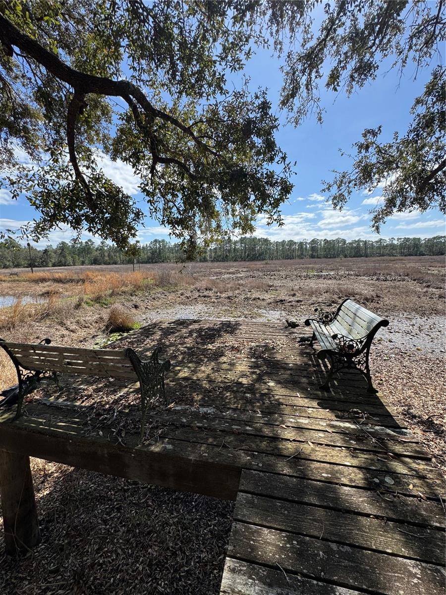 17645 NE 61ST STREET RD, SILVER SPRINGS, FL, 34488