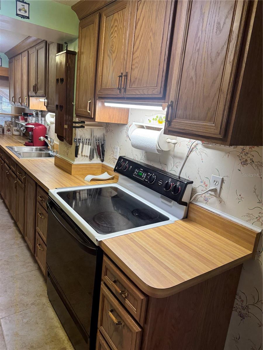 17645 NE 61ST STREET RD, SILVER SPRINGS, FL, 34488