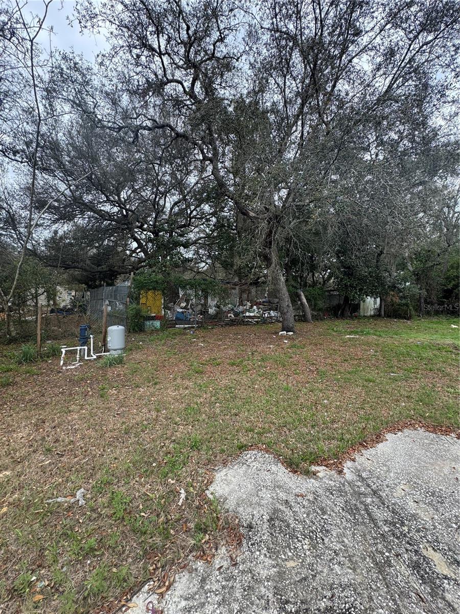 17645 NE 61ST STREET RD, SILVER SPRINGS, FL, 34488