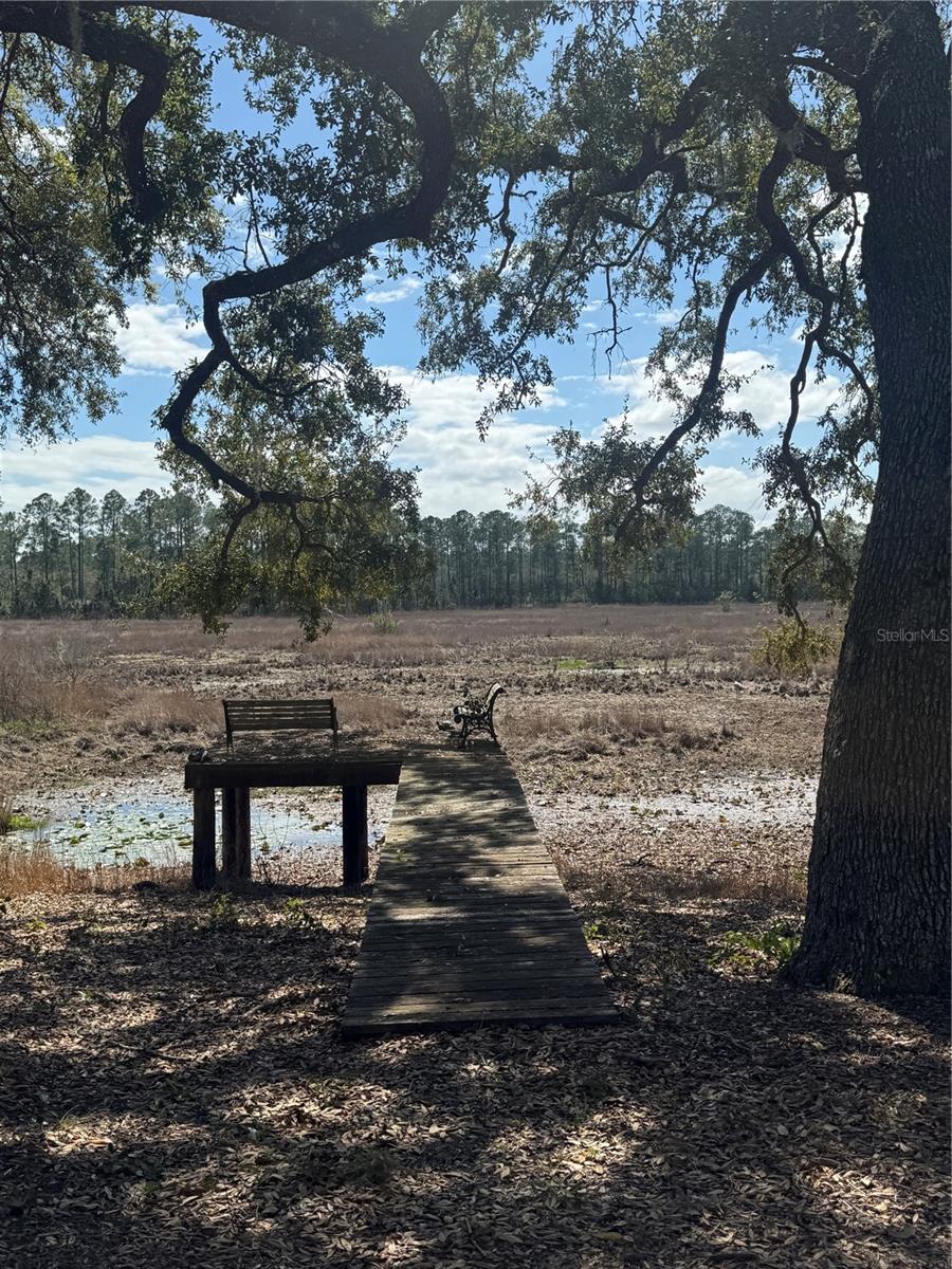 17645 NE 61ST STREET RD, SILVER SPRINGS, FL, 34488