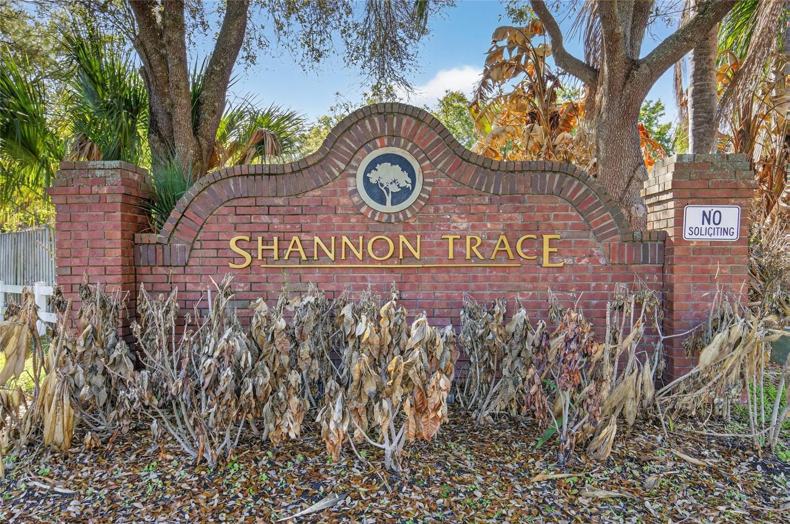 501 POINTE ALLYSON WAY, ORLANDO, FL, 32825