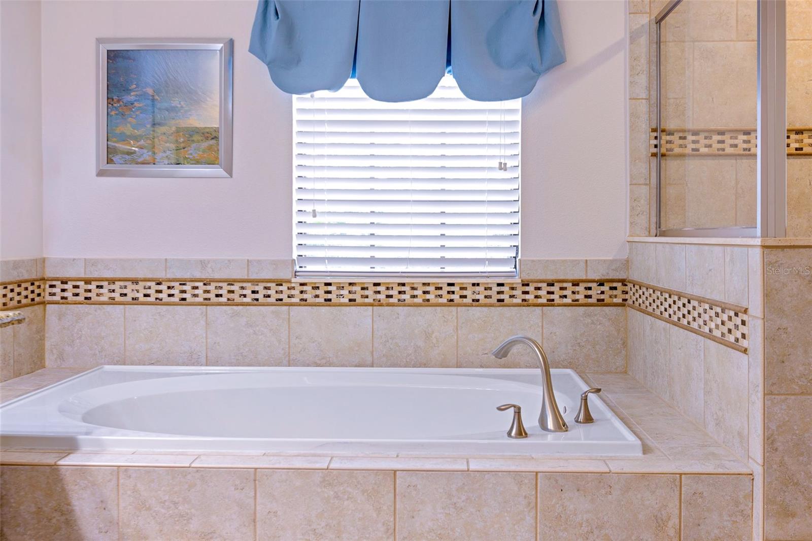 9023 SHADOW MOUNTAIN ST, DAVENPORT, FL, 33896