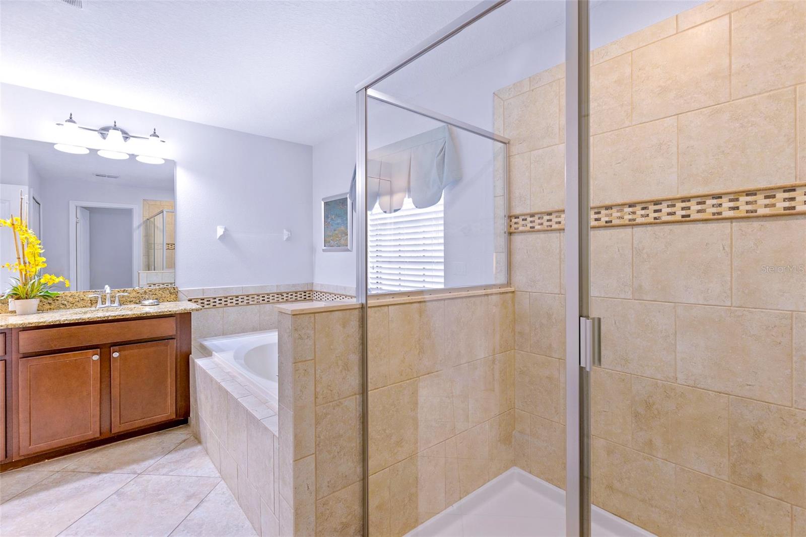 9023 SHADOW MOUNTAIN ST, DAVENPORT, FL, 33896