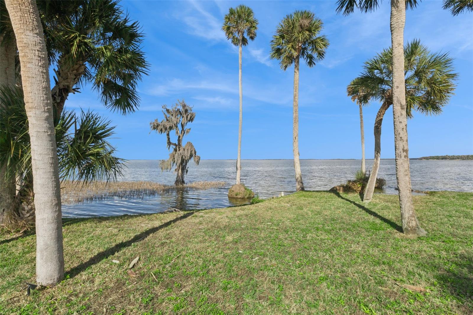 303 WATERWOOD DR, YALAHA, FL, 34797