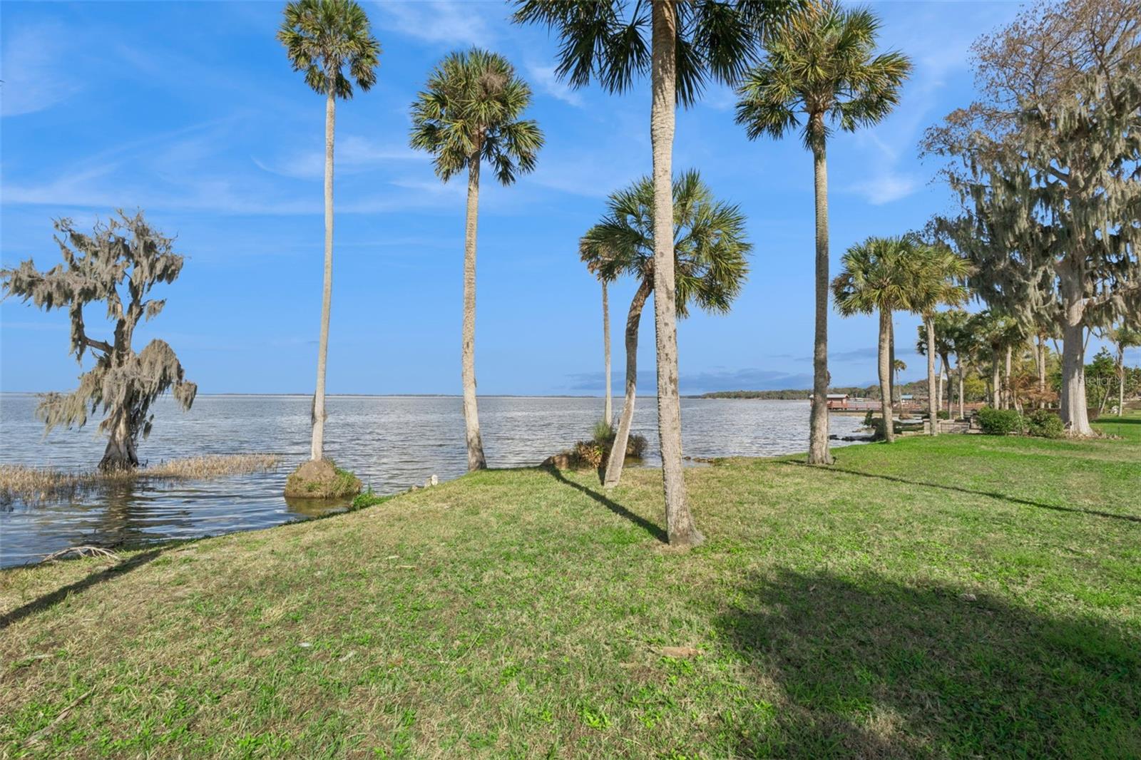 303 WATERWOOD DR, YALAHA, FL, 34797