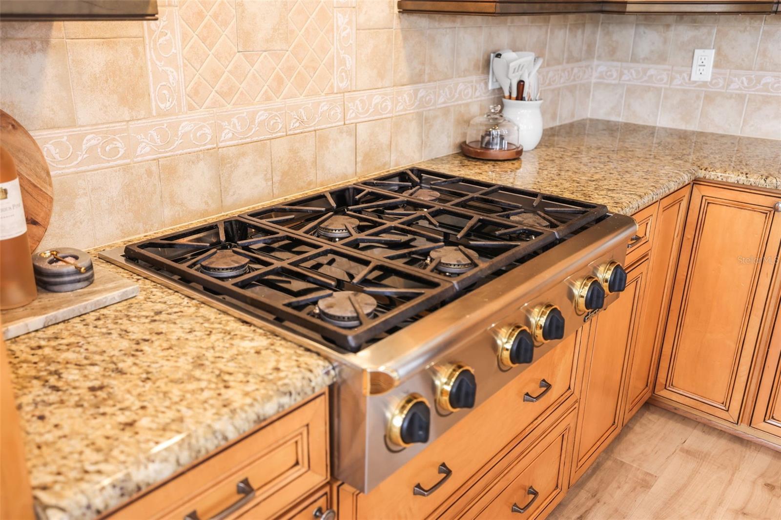 207 MANATEE LN, TARPON SPRINGS, FL, 34689