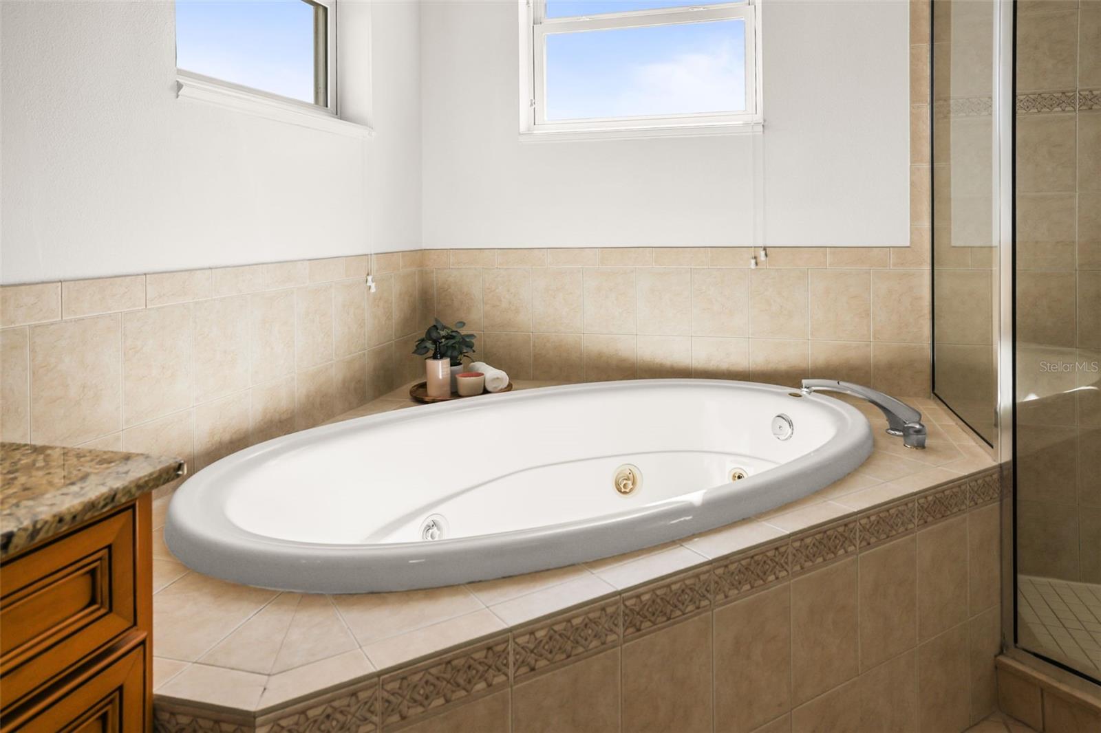 207 MANATEE LN, TARPON SPRINGS, FL, 34689