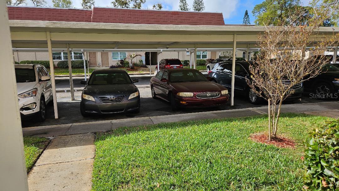 10035 63RD AVE N #6, ST PETERSBURG, FL, 33708
