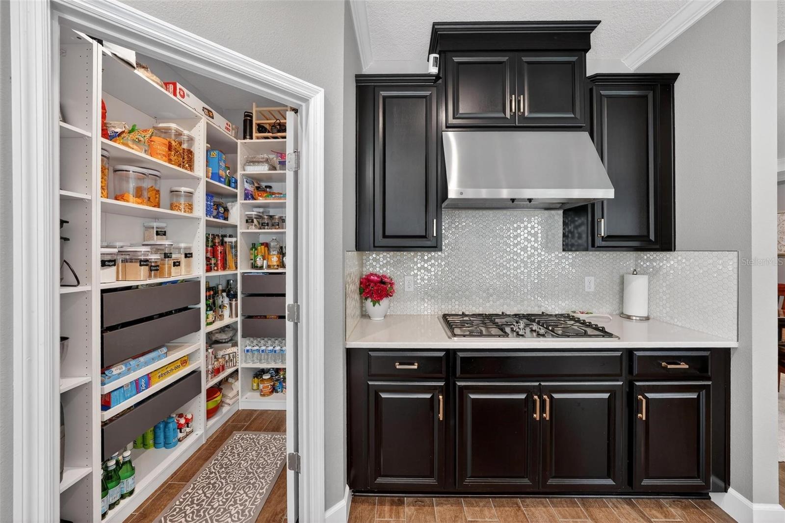 1235 WATERVIEW RIDGE CIR, APOPKA, FL, 32703