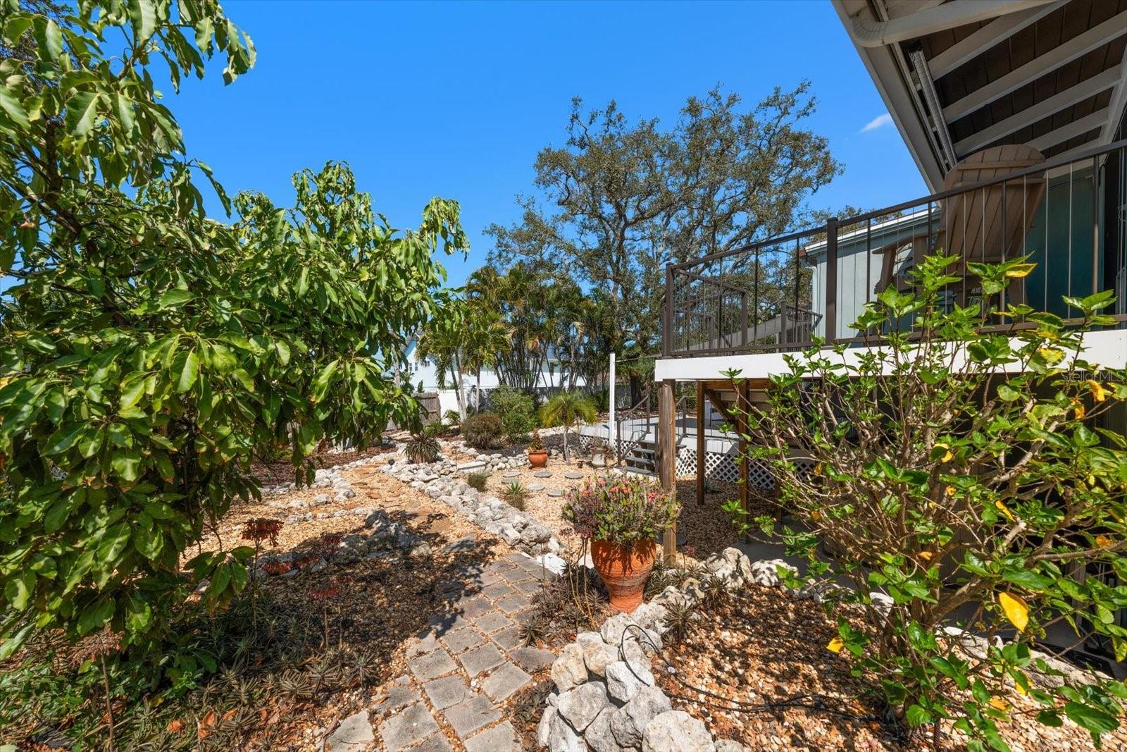 Sculpted walking paths define the peaceful yard with minimalistic Zero scaping.