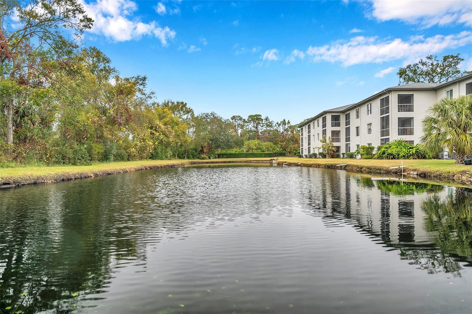 2739 ENTERPRISE RD E #1, CLEARWATER, FL, 33759