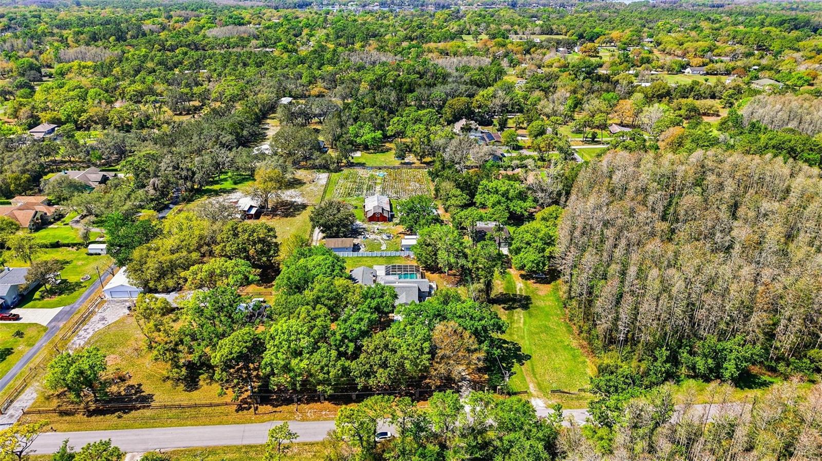 19706 ANGEL LN, ODESSA, FL, 33556