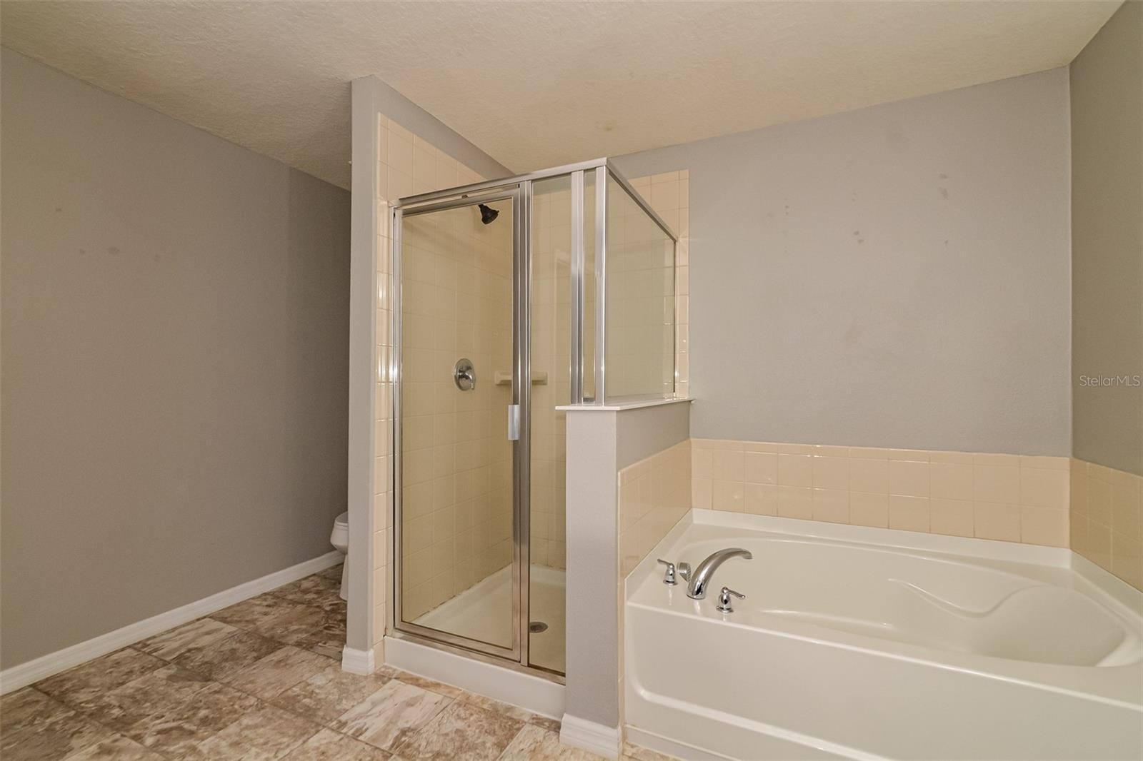 6377 DOMENICO CT, GROVELAND, FL, 34736