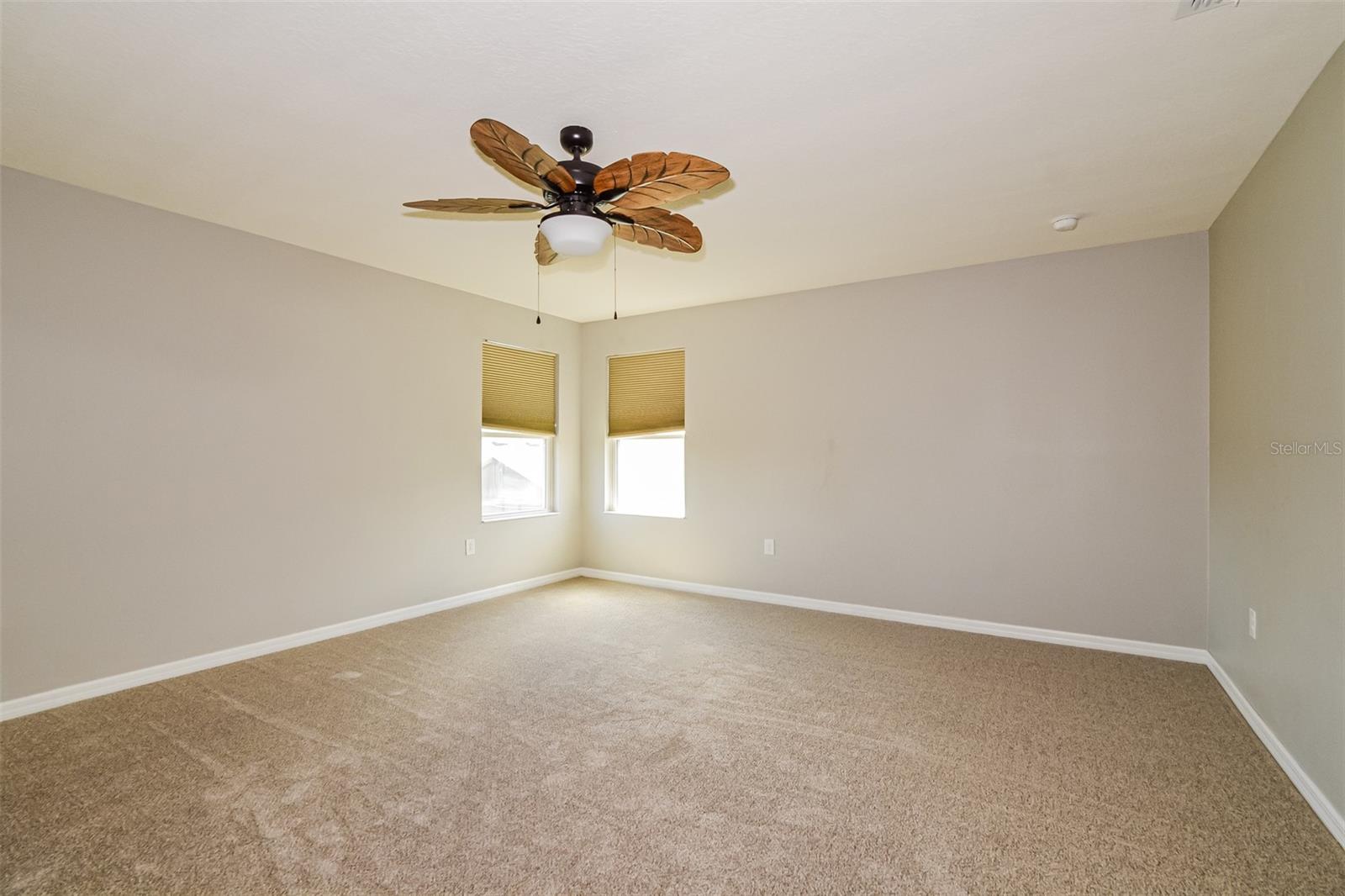 6377 DOMENICO CT, GROVELAND, FL, 34736