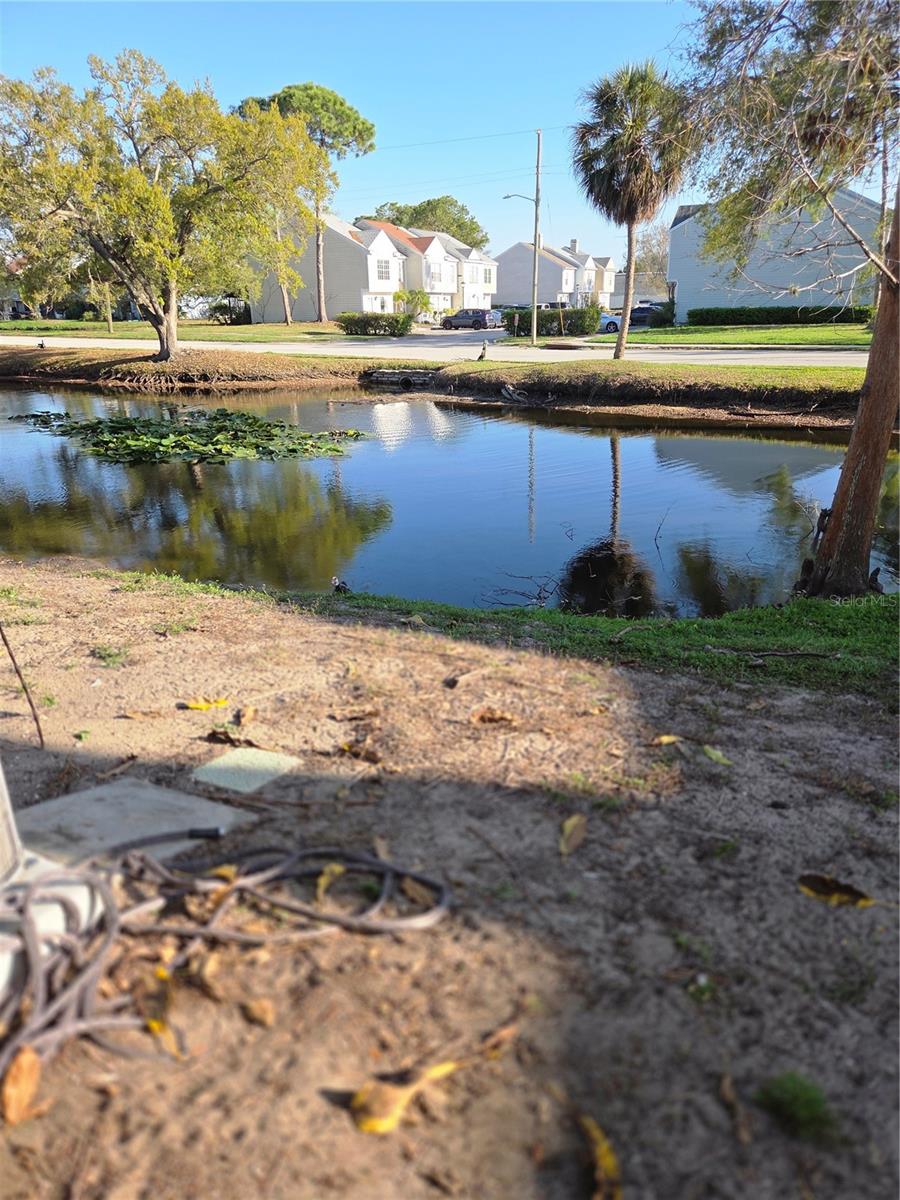 6701 121ST AVE #A, LARGO, FL, 33773