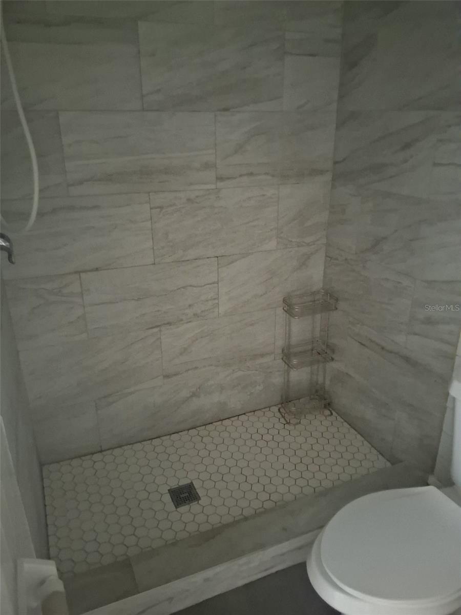 808 E LIVINGSTON ST #3, ORLANDO, FL, 32803