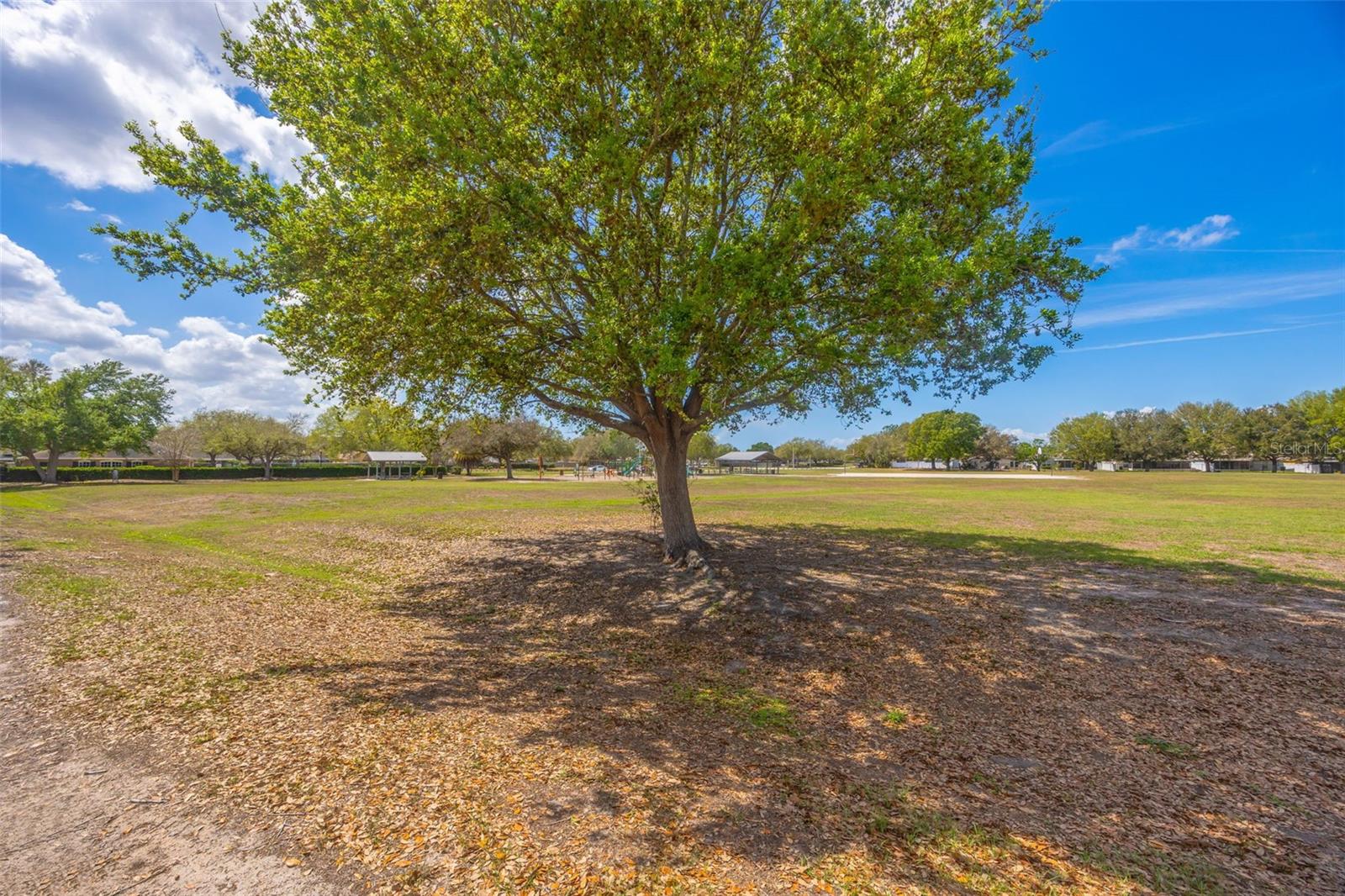 12526 DAWN VISTA DR, RIVERVIEW, FL, 33578