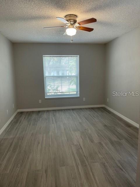 2836 PADDOCK DR, PALM HARBOR, FL, 34684