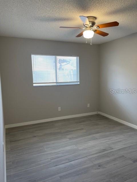 2836 PADDOCK DR, PALM HARBOR, FL, 34684