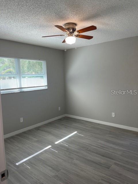 2836 PADDOCK DR, PALM HARBOR, FL, 34684