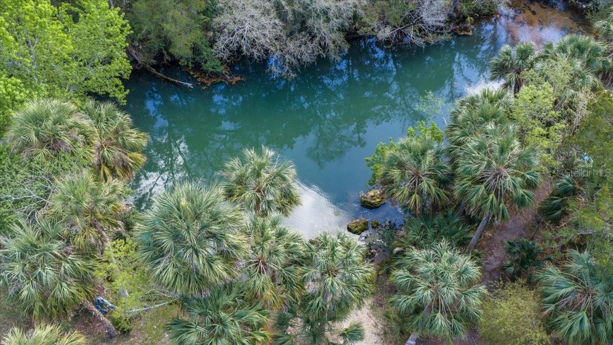 6093 AVENUE OF THE PALMS, WEEKI WACHEE, FL, 34607