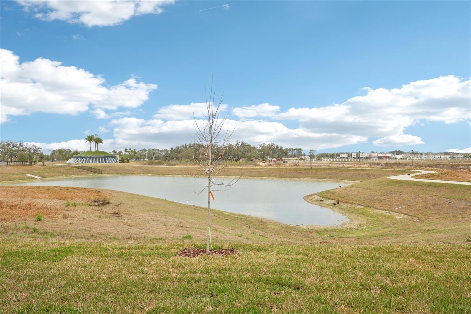 31477 SPANISH MISSION RD, SAN ANTONIO, FL, 33576