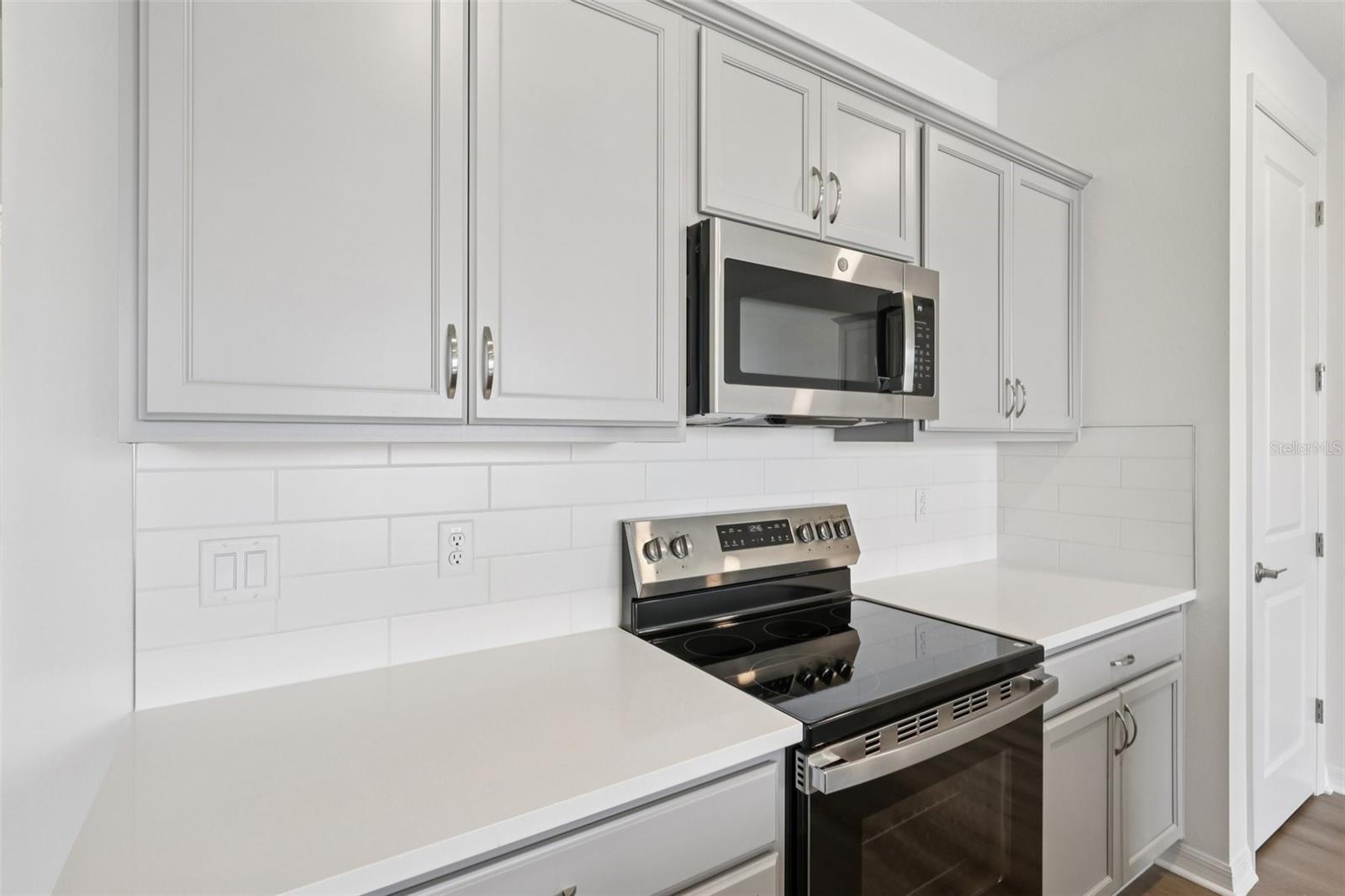 31477 SPANISH MISSION RD, SAN ANTONIO, FL, 33576