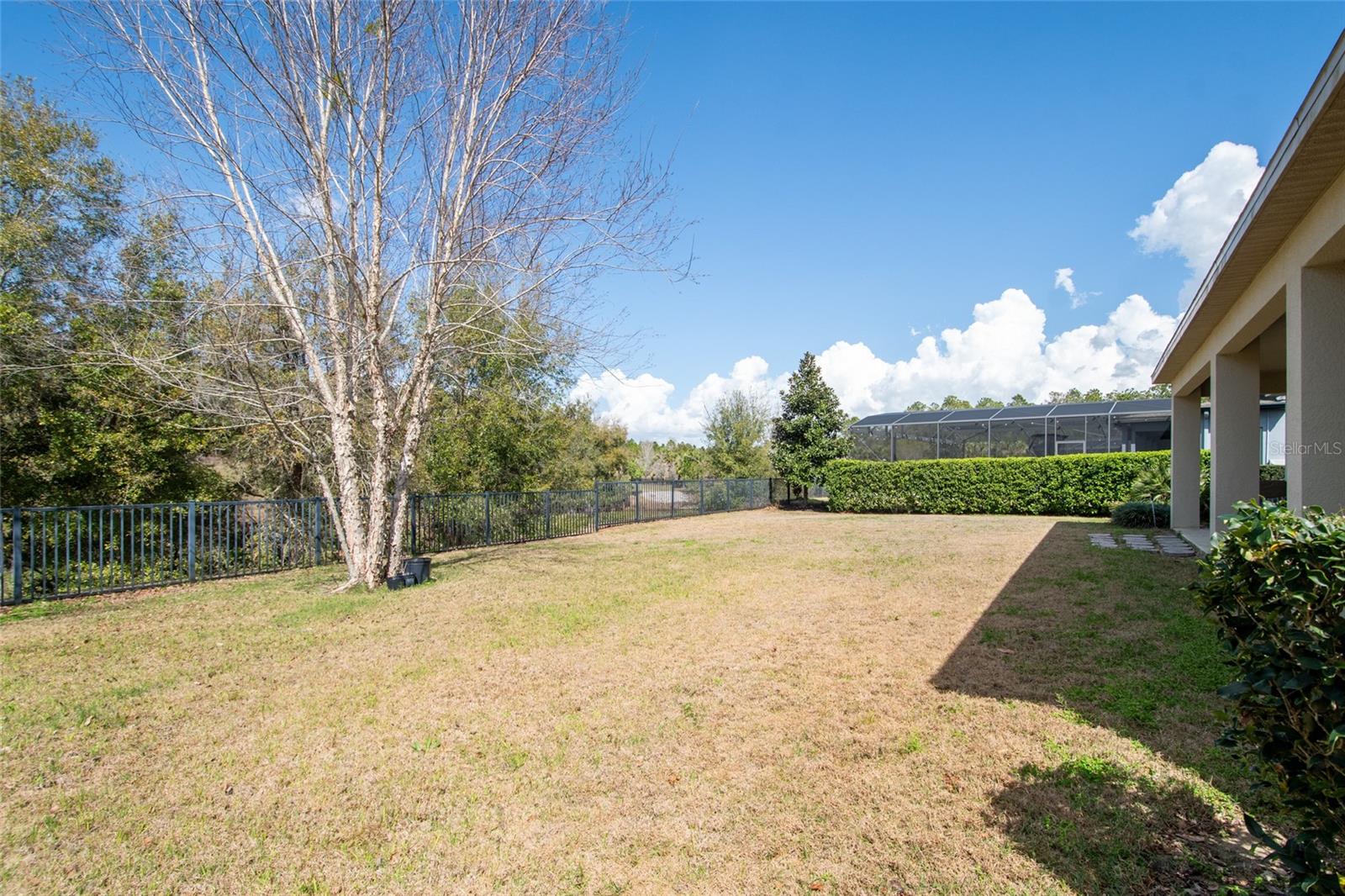 615 TIMBERVALE TRL, CLERMONT, FL, 34715