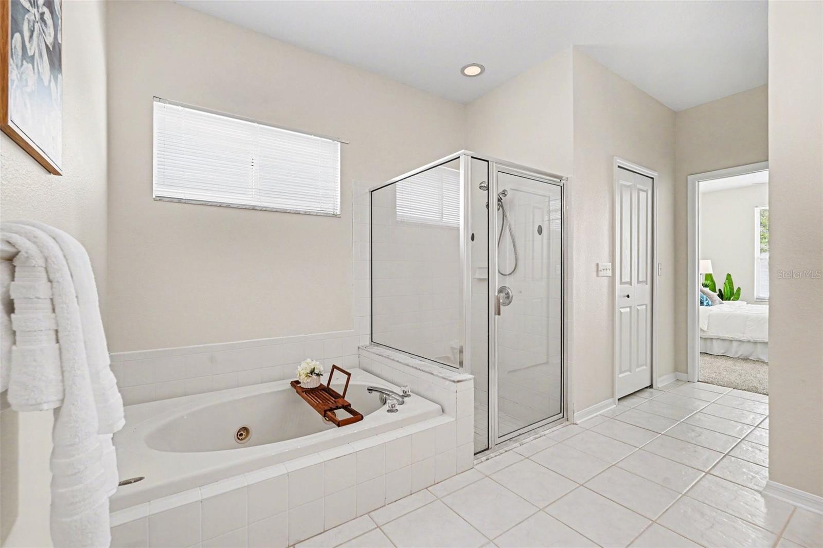 30631 NICKERSON LOOP, WESLEY CHAPEL, FL, 33543