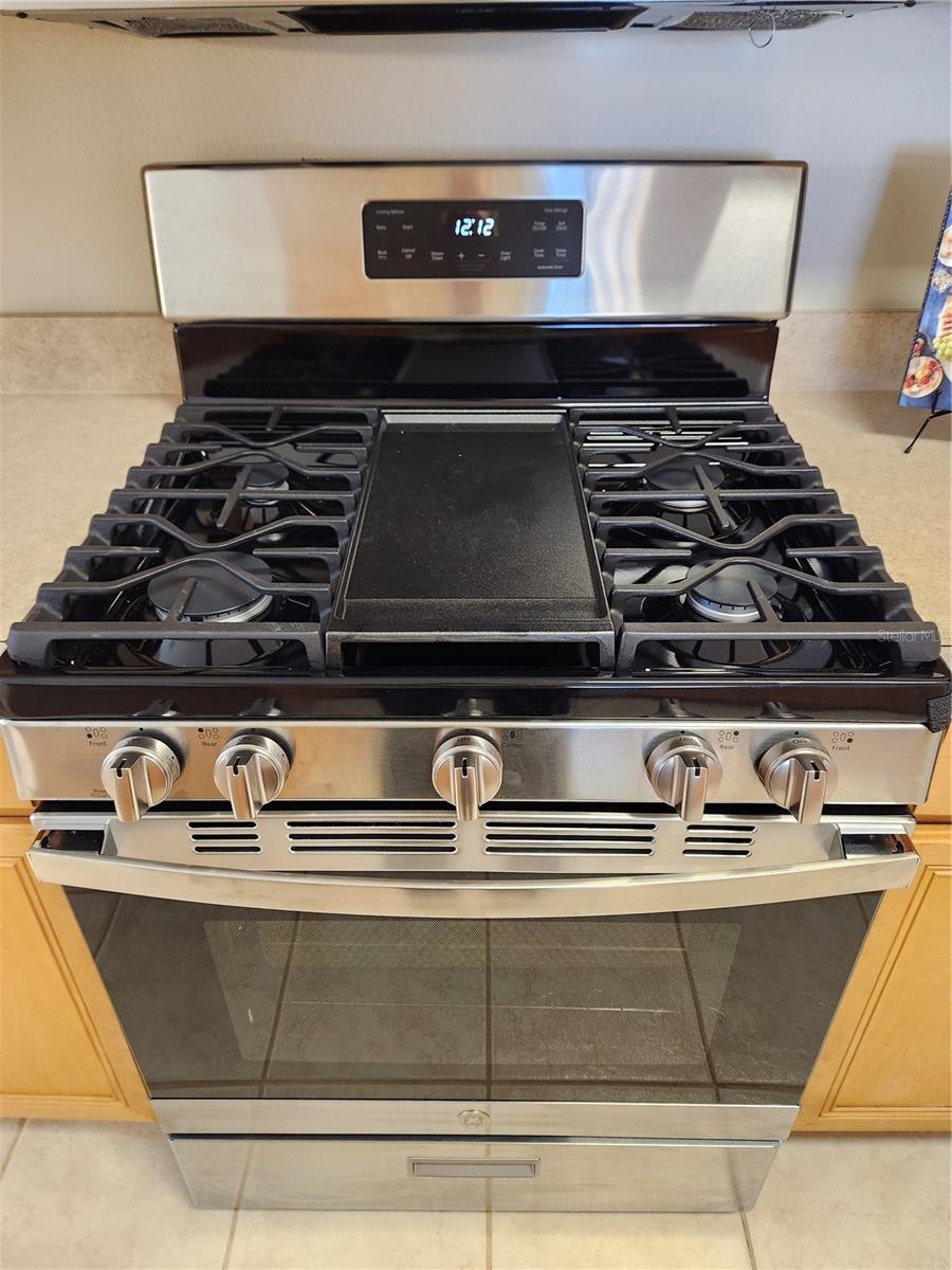 30631 NICKERSON LOOP, WESLEY CHAPEL, FL, 33543