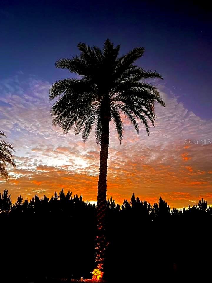 627 ARNOLD PALMER DR, DAVENPORT, FL, 33837