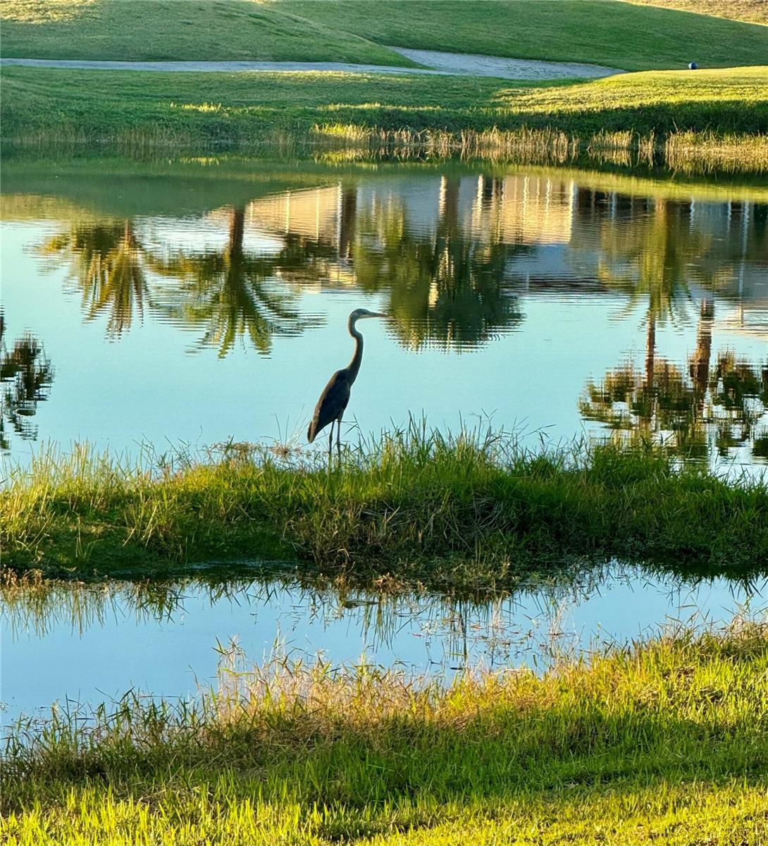 627 ARNOLD PALMER DR, DAVENPORT, FL, 33837