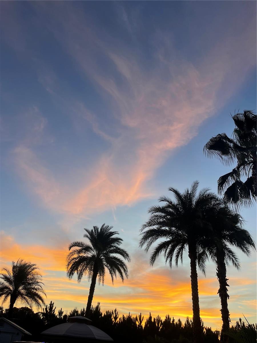 627 ARNOLD PALMER DR, DAVENPORT, FL, 33837