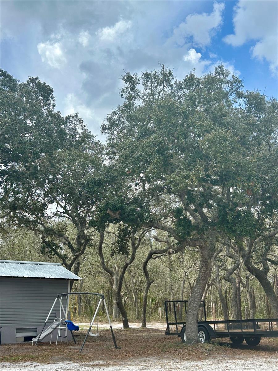 1150 NE 115 AVE, SILVER SPRINGS, FL, 34488