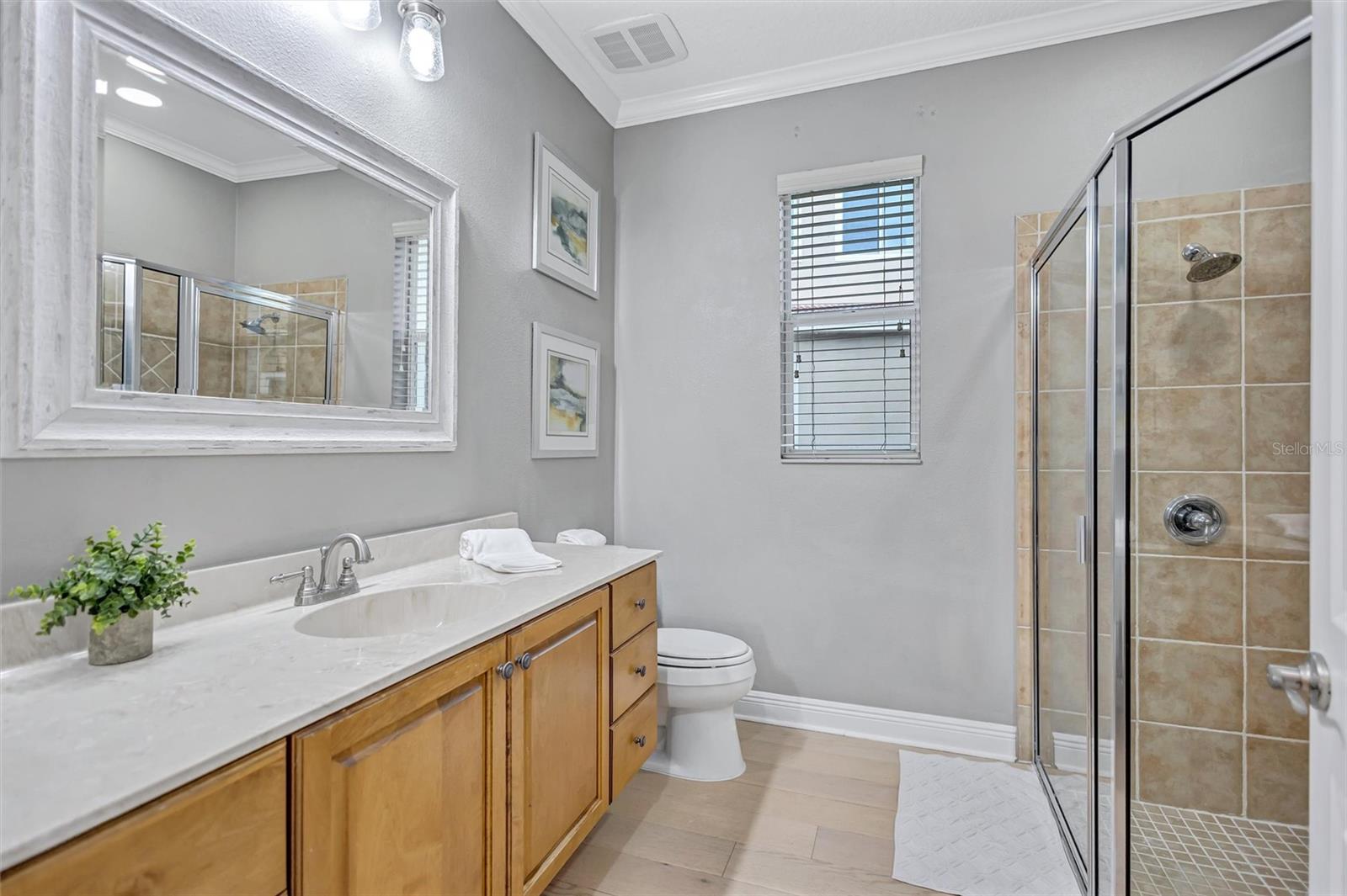 11809 SHIRE WYCLIFFE, TAMPA, FL, 33626