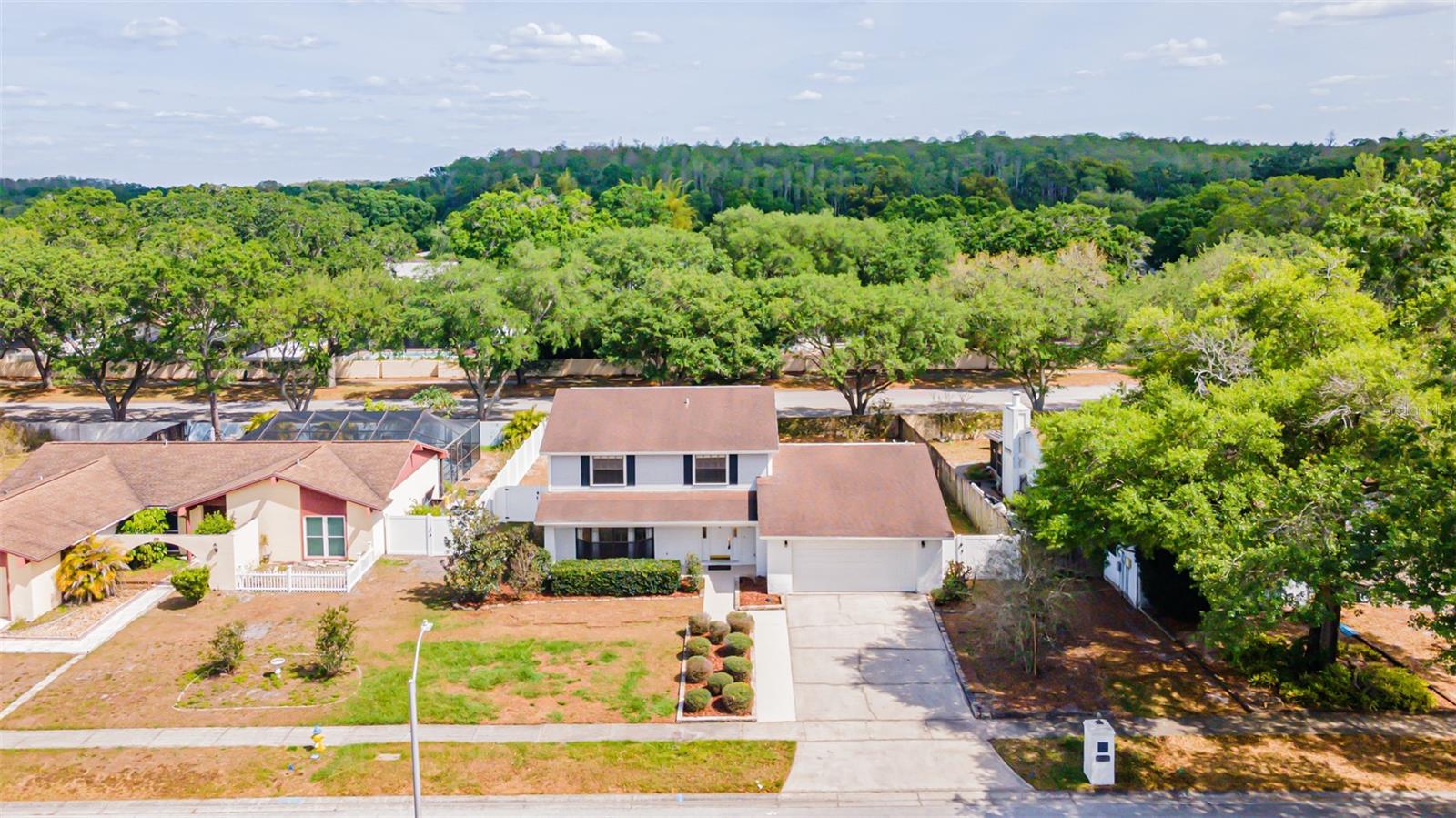 16203 FANTASIA DR, TAMPA, FL, 33624