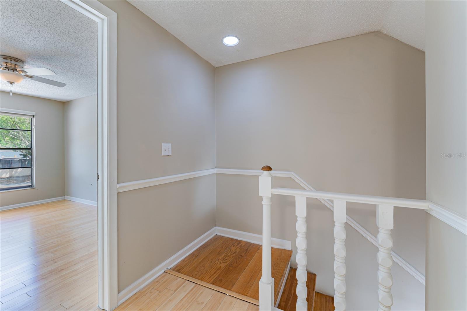 16203 FANTASIA DR, TAMPA, FL, 33624