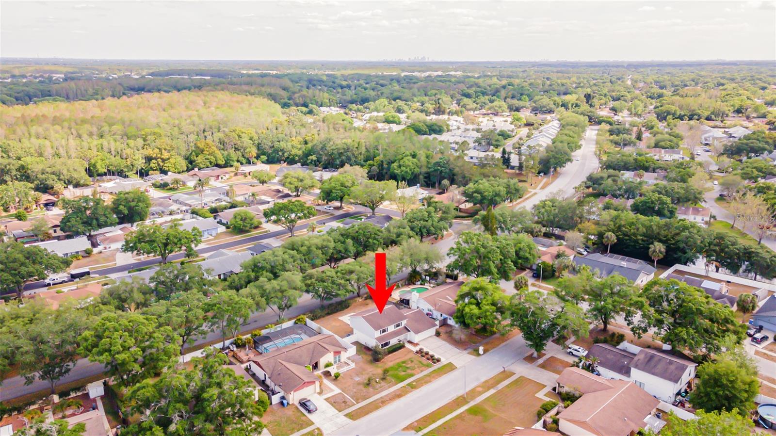 16203 FANTASIA DR, TAMPA, FL, 33624