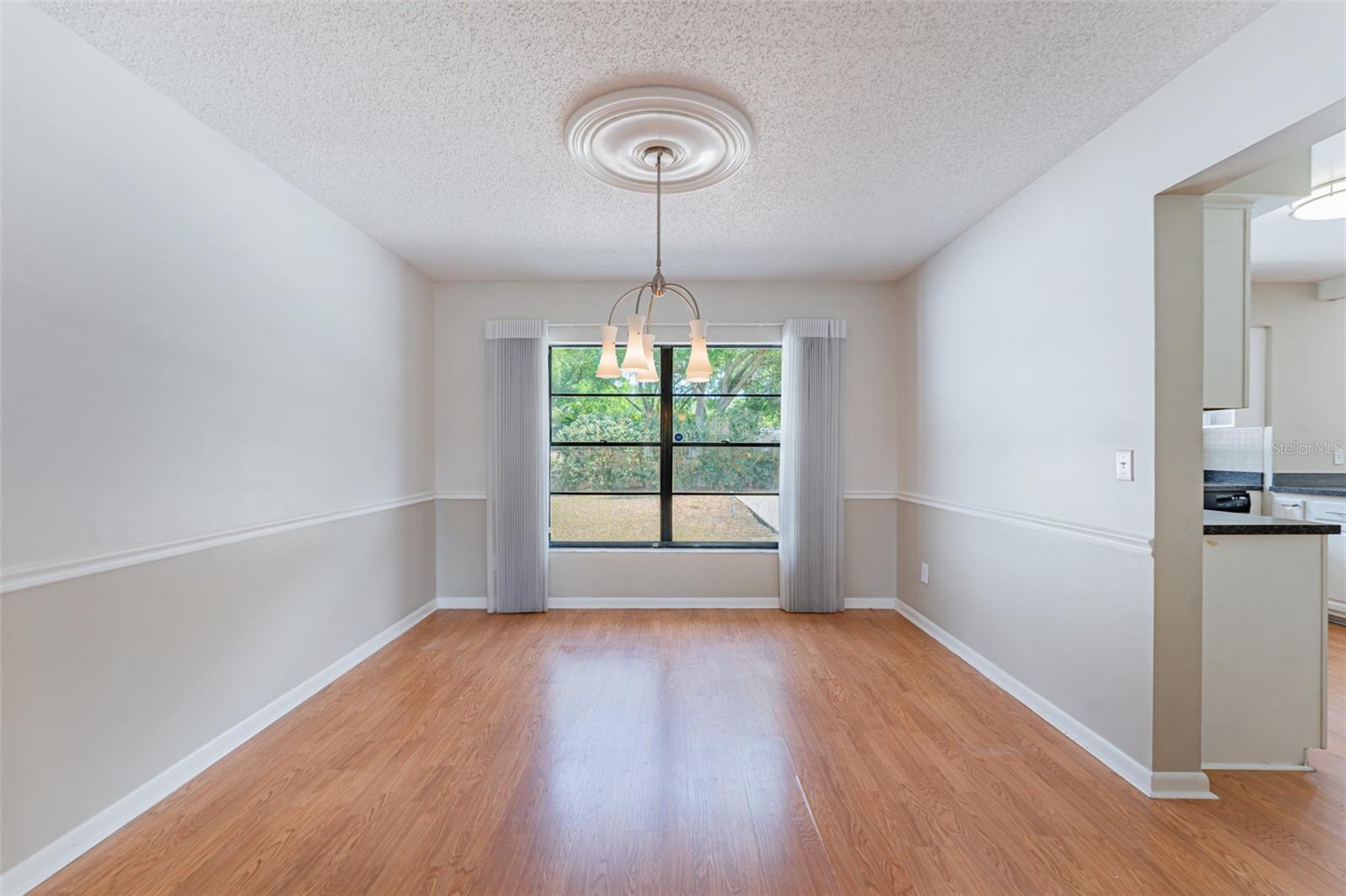 16203 FANTASIA DR, TAMPA, FL, 33624