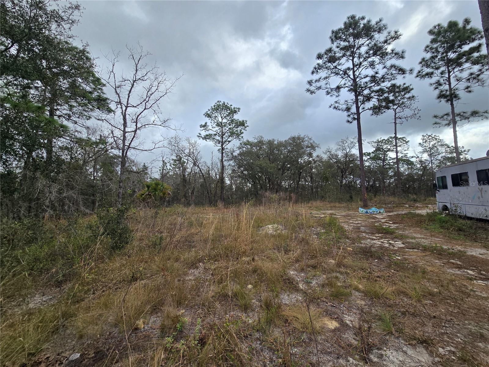 0000 SE 128TH AVE, DUNNELLON, FL, 34431