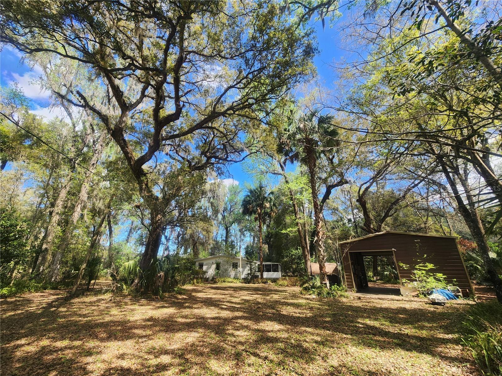 5028 E HIGHWAY 316, CITRA, FL, 32113