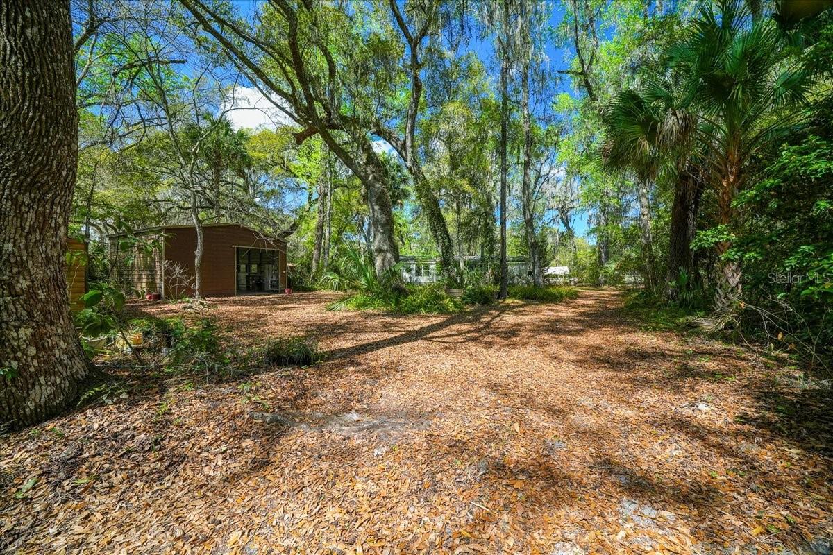 5028 E HIGHWAY 316, CITRA, FL, 32113