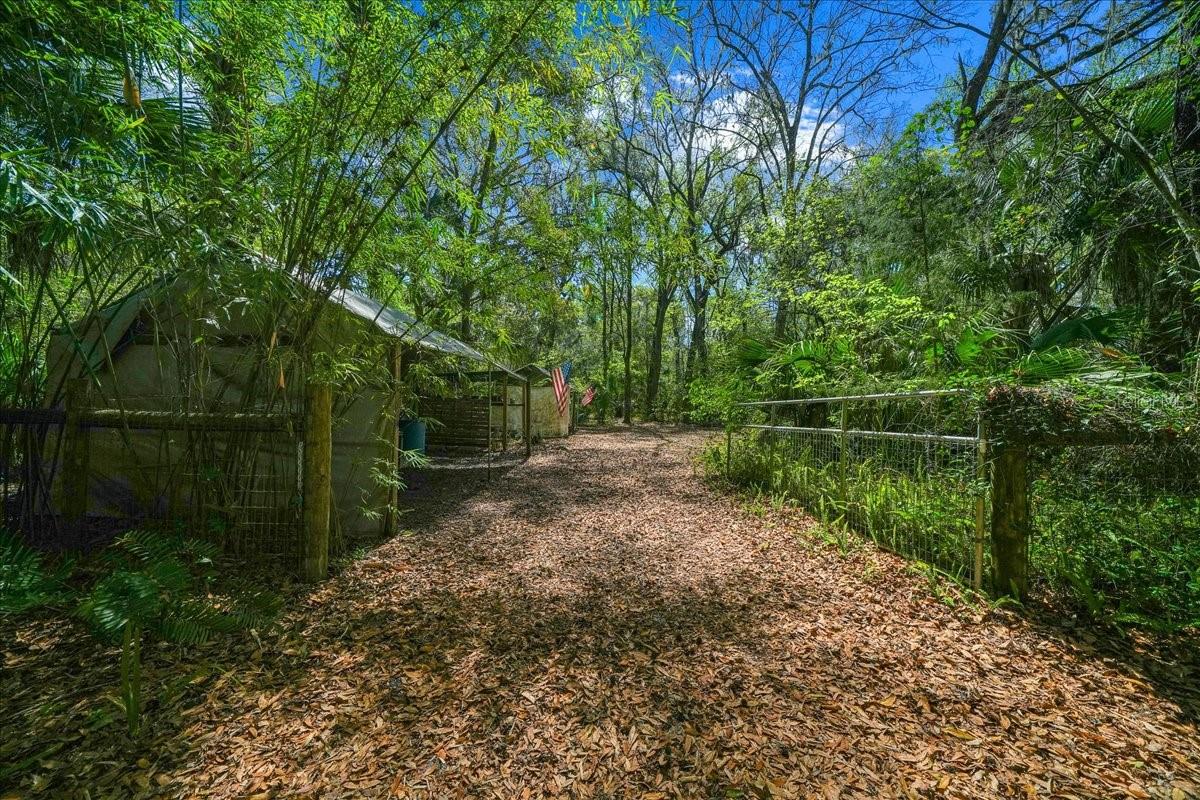 5028 E HIGHWAY 316, CITRA, FL, 32113