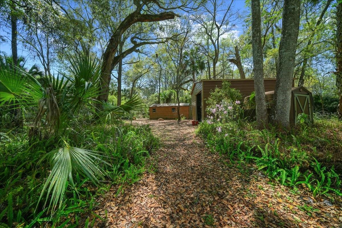 5028 E HIGHWAY 316, CITRA, FL, 32113