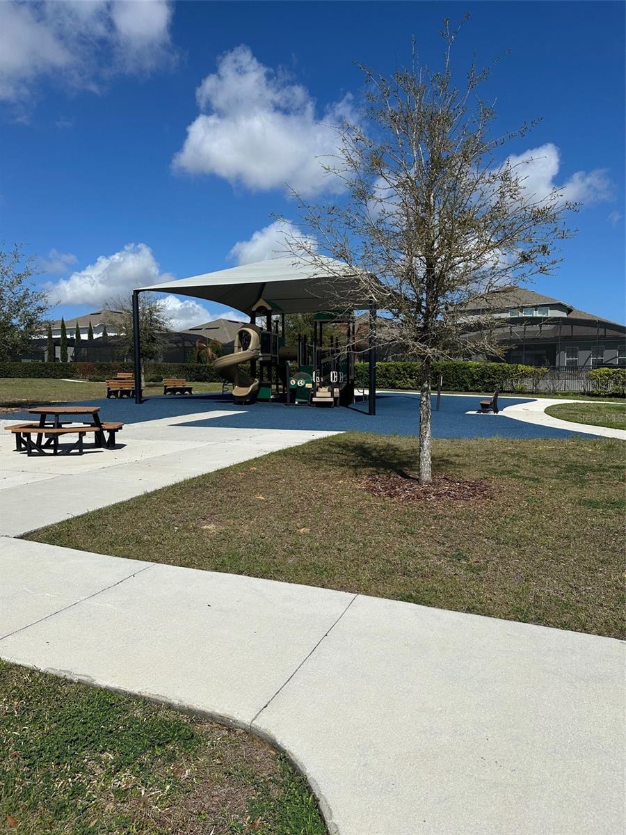 5679 ORANGE ORCHARD DR, WINTER GARDEN, FL, 34787